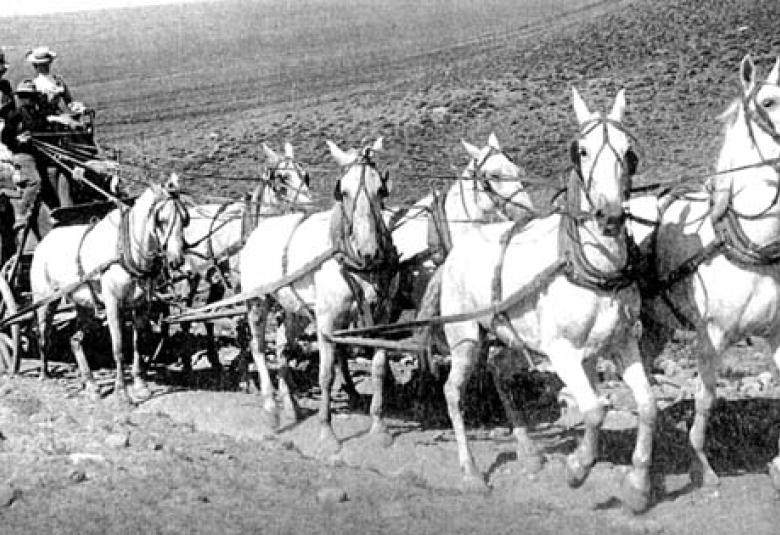 Photo from the Dick Perue/Bob Martin collection. Historical Reproductions by Perue