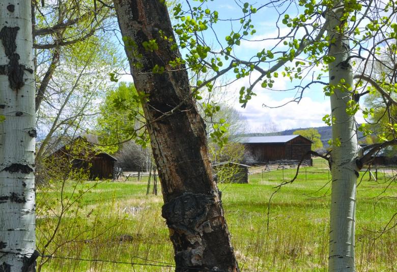 Carbon County Comet - Staff Photo - Create Article